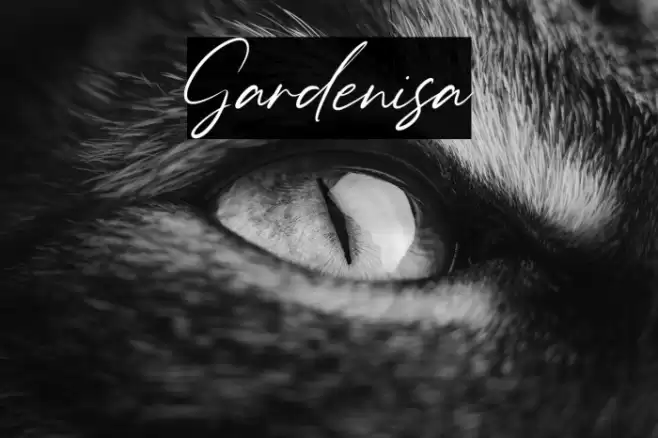 Gardenisa Font examples