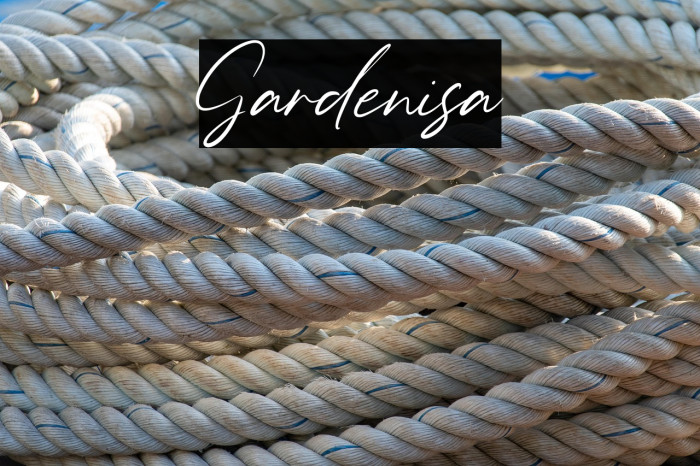 Gardenisa Example 2