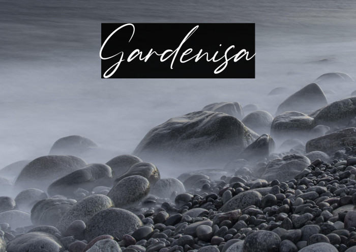 Gardenisa Example 3