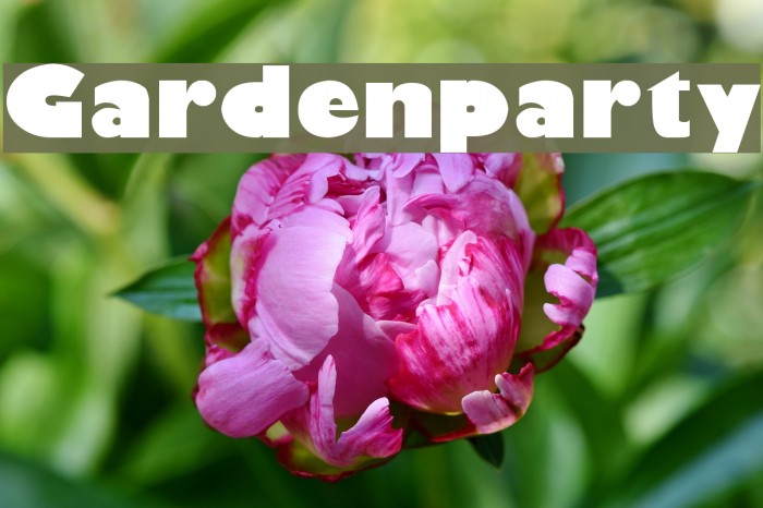 Gardenparty Font examples