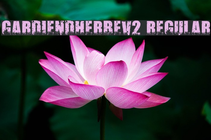 Gardiendherbev2 Regular Font examples