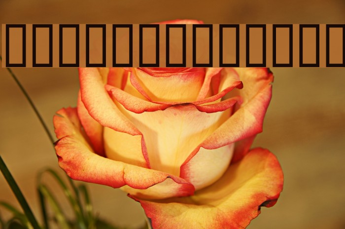 Gardiner FM Font examples
