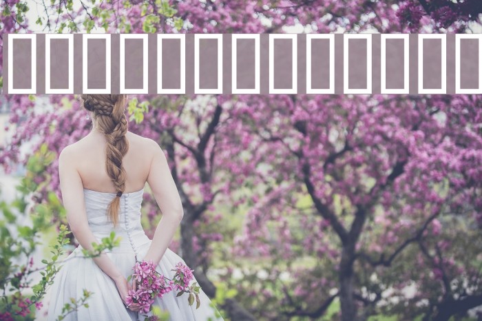 Gardiner SZ Font examples