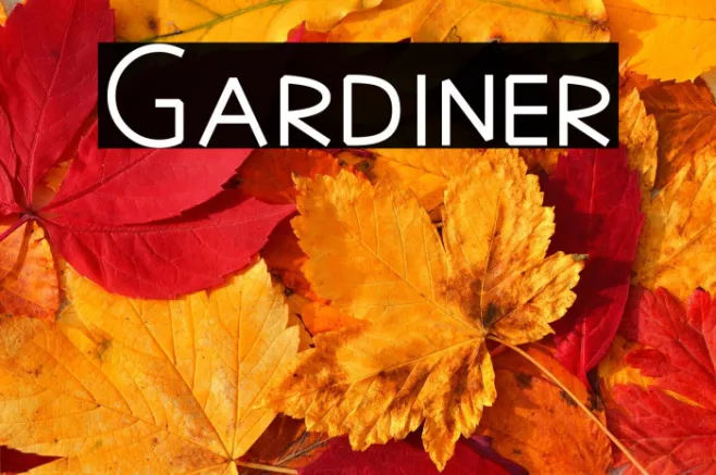 Gardiner Example 1