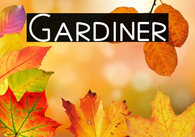 Gardiner Example 2