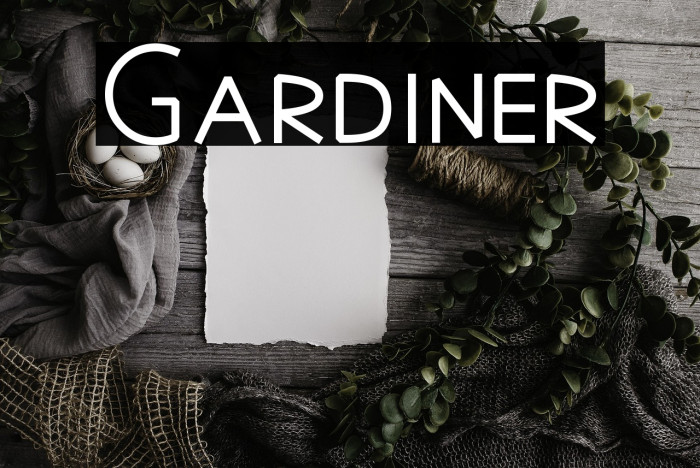 Gardiner Example 3
