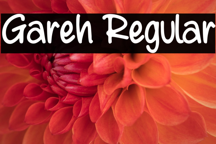 Gareh Regular Example 1