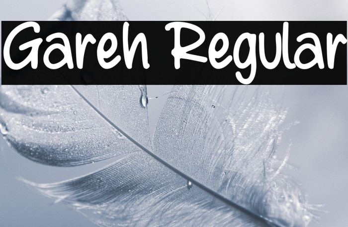 Gareh Regular Example 2