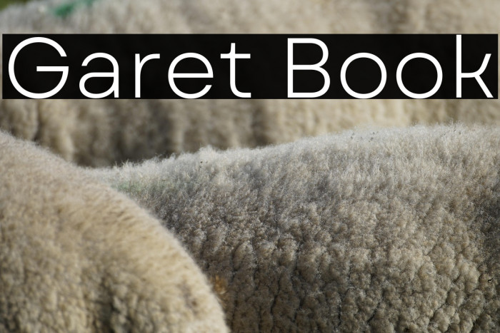 Garet Book Example 1