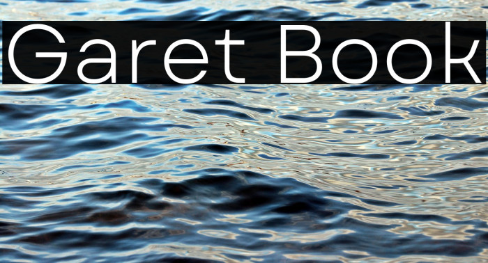 Garet Book Example 3