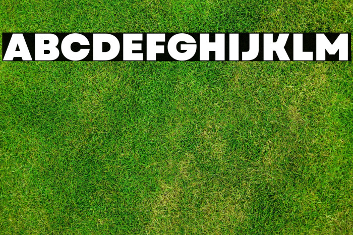 Garet Heavy Example 2