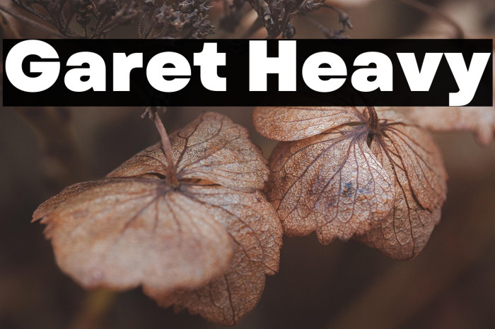 Garet Heavy Example 1