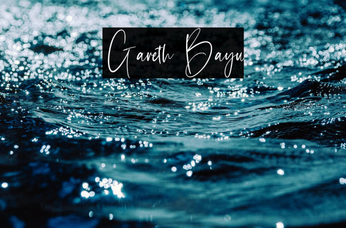 Gareth Bayu Example 1