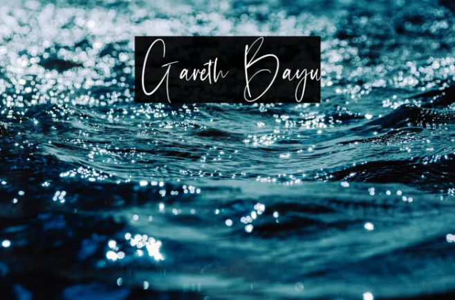 Gareth Bayu Example 1