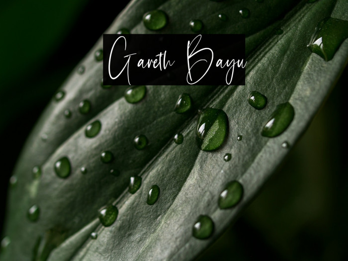 Gareth Bayu Example 3