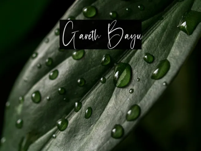 Gareth Bayu Example 3