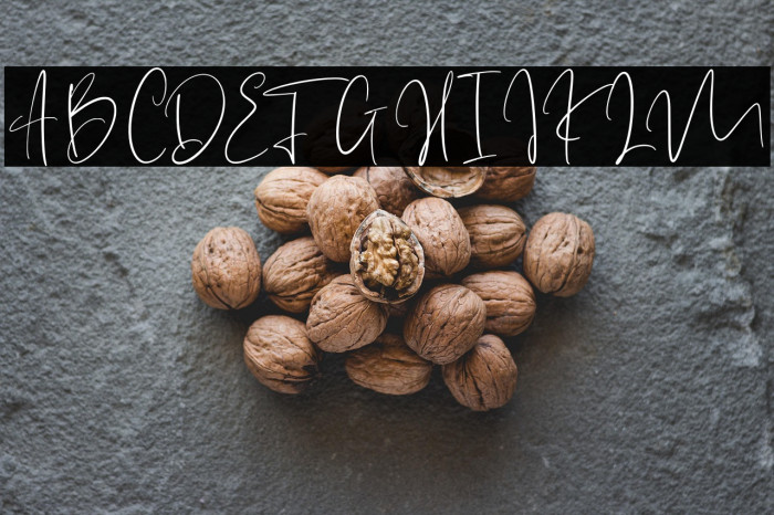 GarethBayu-Regular Example 3