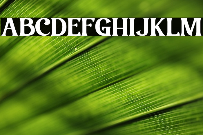 Garetha Personal Use Example 2