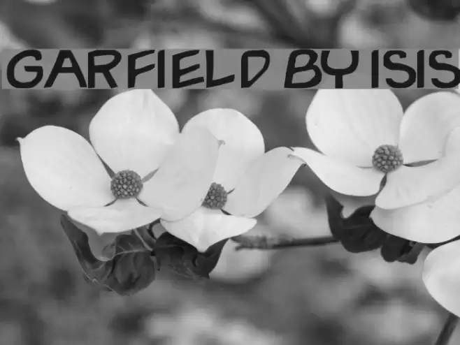 Garfield By ISIS Font examples