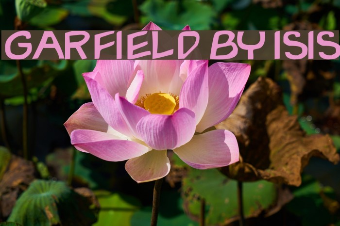 Garfield By ISIS Font examples