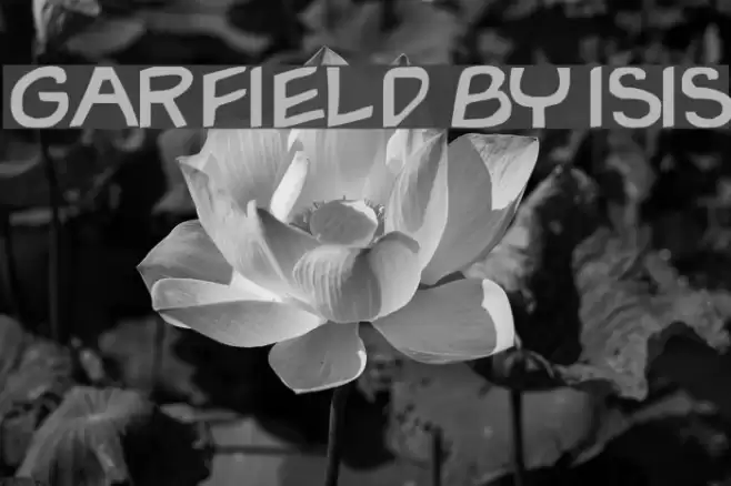 Garfield By ISIS Font examples