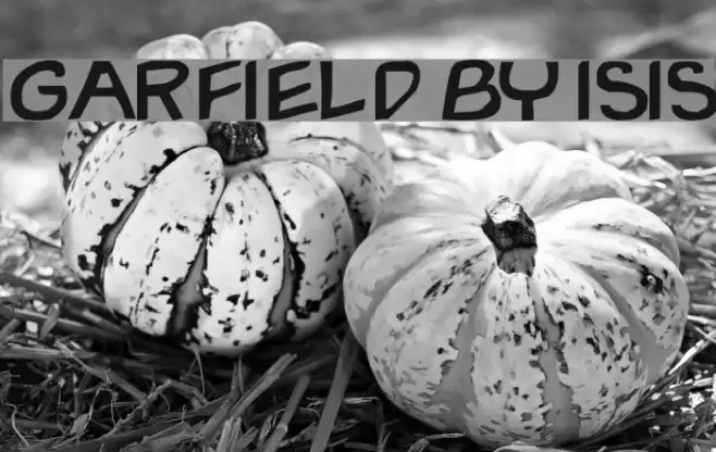 Garfield By ISIS Font examples