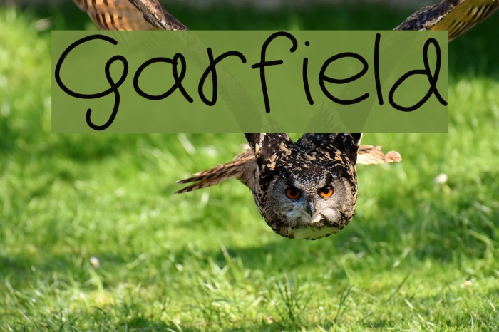 Garfield Font examples