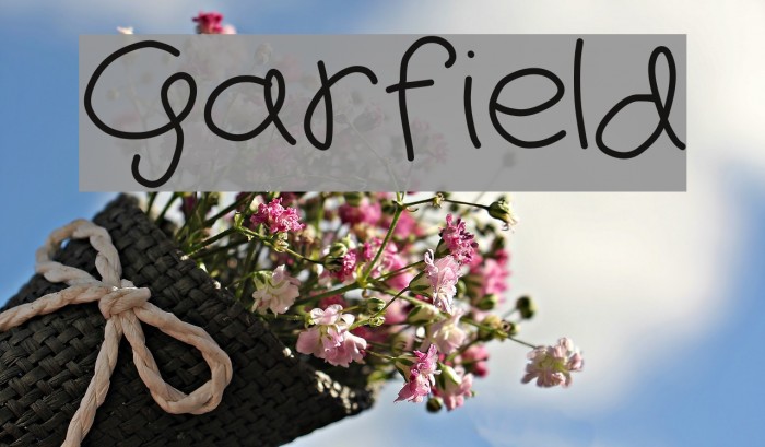 Garfield Font examples