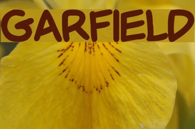 Garfield Example 1