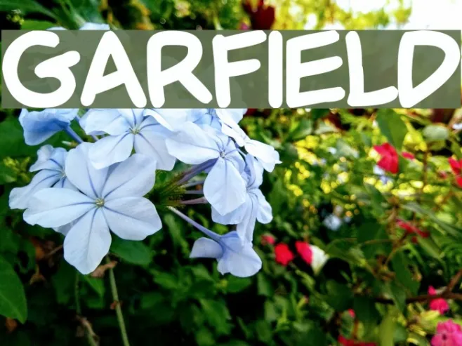 Garfield Example 2