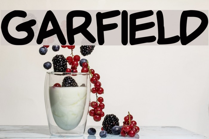 Garfield Example 3