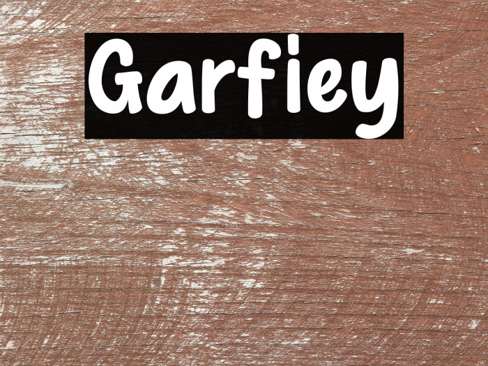 Garfiey Example 1