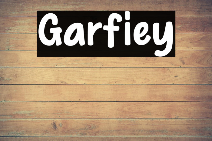 Garfiey Example 2