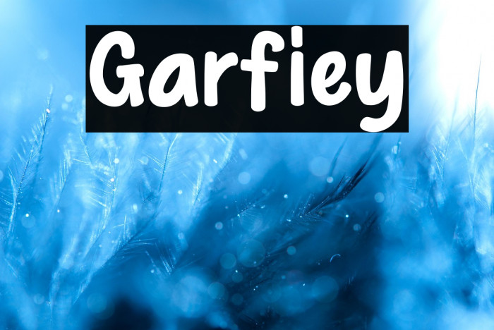 Garfiey Example 3