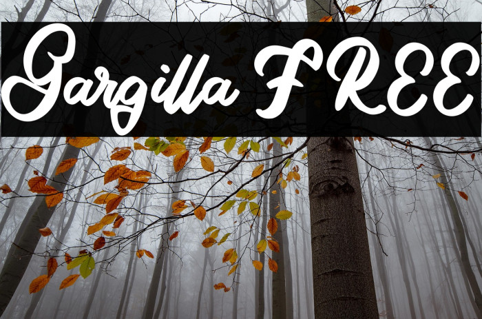 Gargilla FREE Example 1