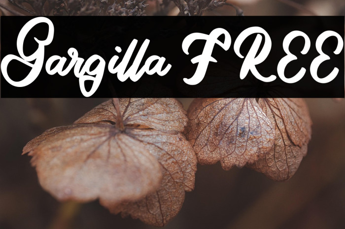 Gargilla FREE Example 2