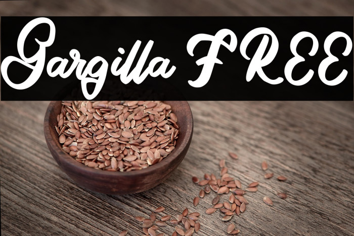 Gargilla FREE Example 3