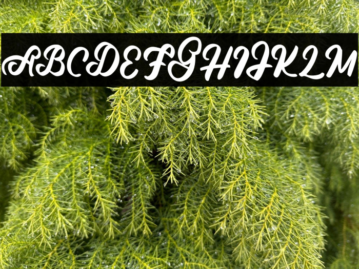 GargillaFREE Example 2