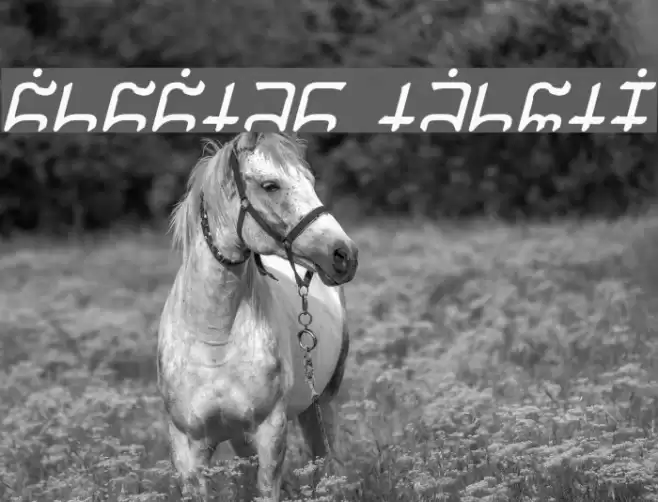 Gargish Italic Font examples