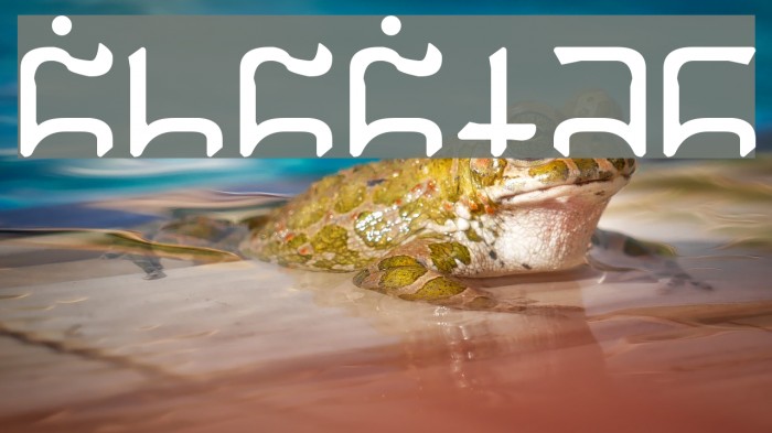 Gargish Font examples