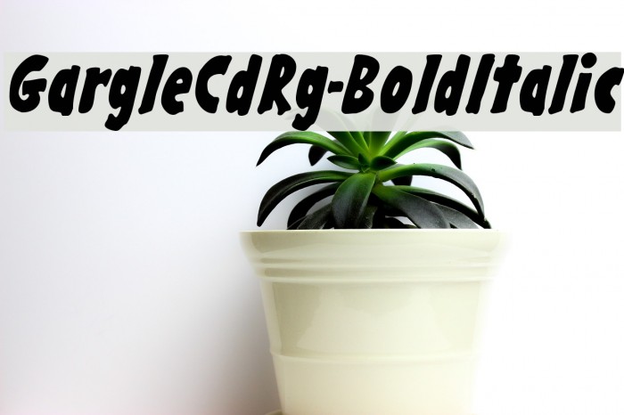 GargleCdRg-BoldItalic Font examples