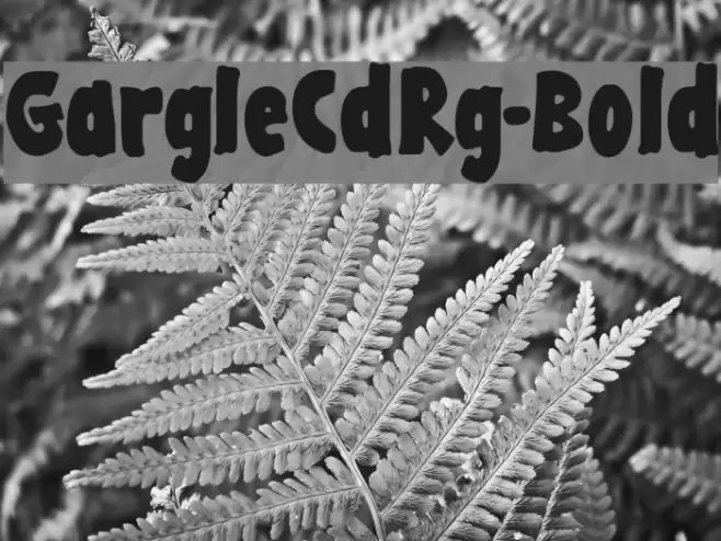 GargleCdRg-Bold Font examples