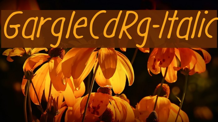 GargleCdRg-Italic Font examples