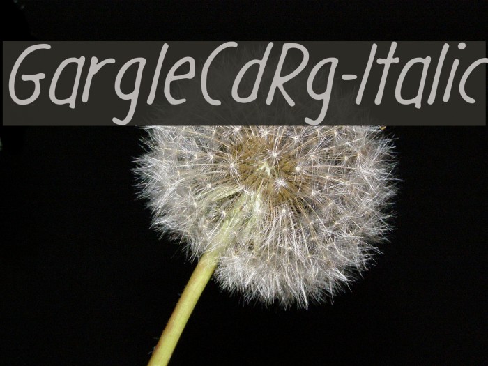 GargleCdRg-Italic Font examples