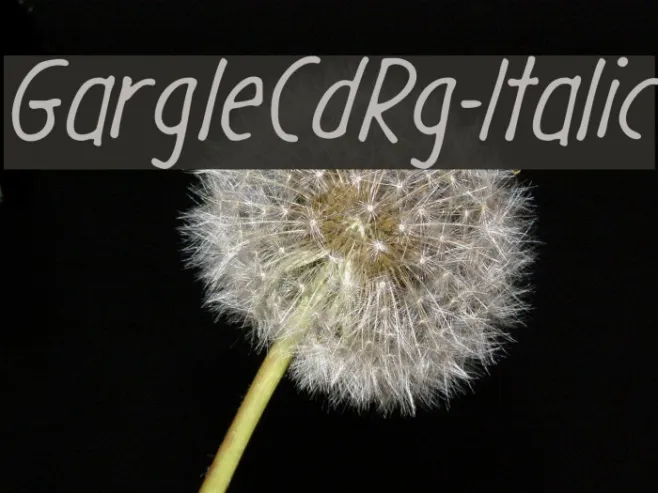 GargleCdRg-Italic Example 3