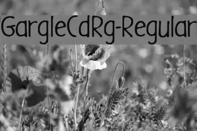 GargleCdRg-Regular Font examples