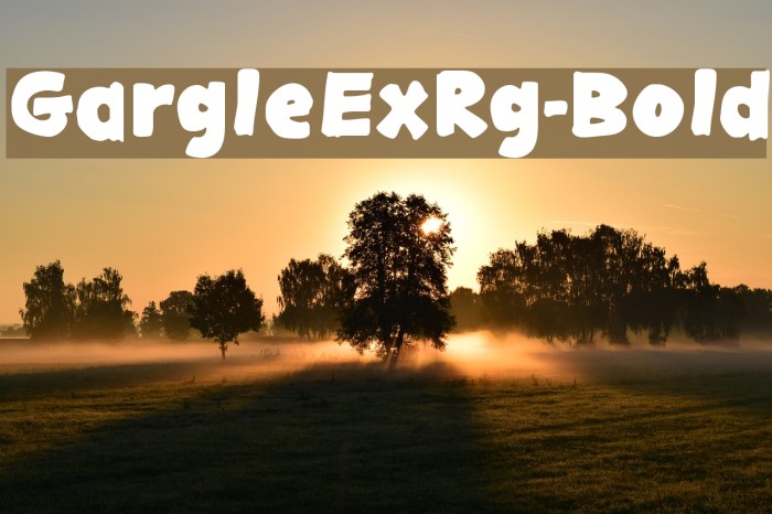 GargleExRg-Bold Font examples
