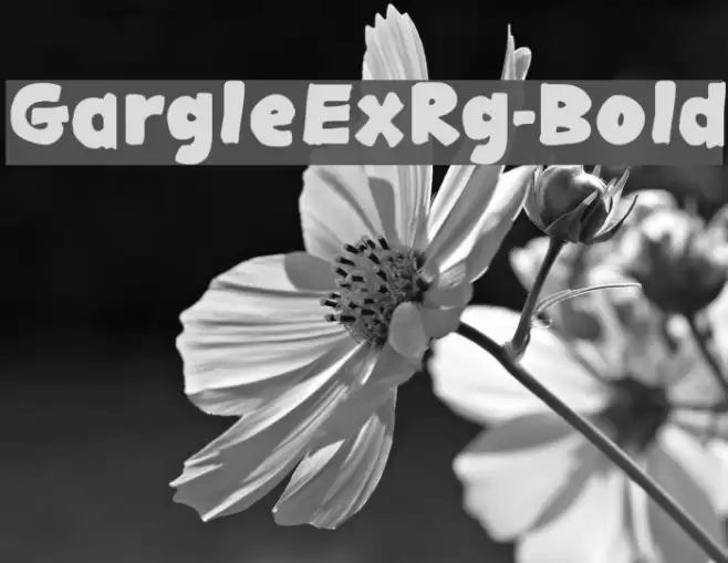 GargleExRg-Bold Font examples