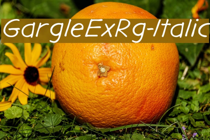 GargleExRg-Italic Font examples