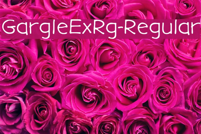 GargleExRg-Regular Font examples